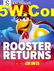 Sports Statistics Betarara